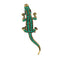 Cold-Blooded Animals