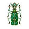 Beetle brooch with green enamel wings, light green and teal stones, and gold-tone metal finish, cutout on white.