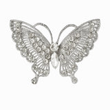 Butterfly brooch with silver-tone base and clear faceted stones arranged in layered pattern, cutout on white background.