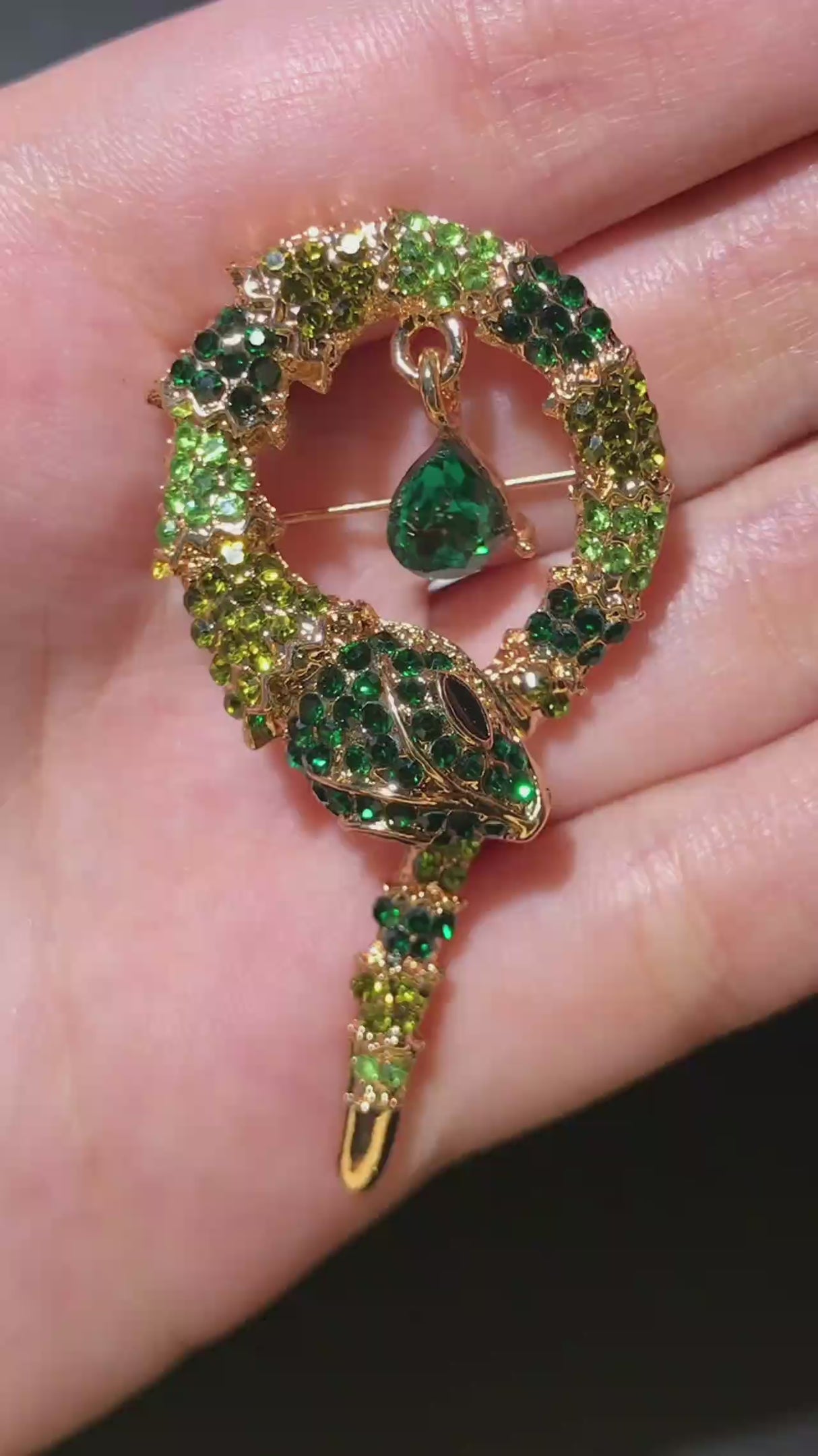 Snake Brooch with Biting Tail & Crystal Teardrop | 5 Colors