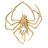 Spider brooch with gold-tone metal finish and clear teardrop-shaped faceted stone center, cutout on white background.